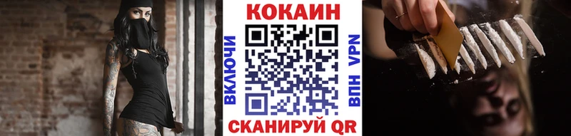 Купить закладки  Заволжск  COCAIN 98% 